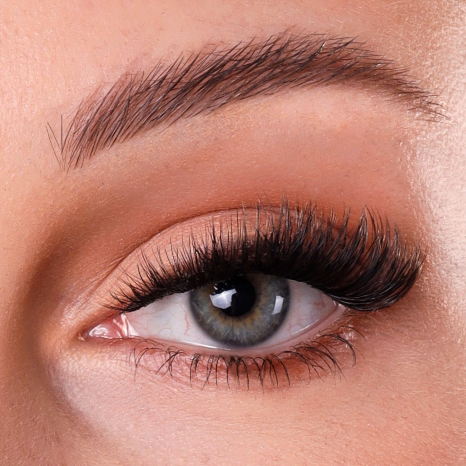 THE MONROE DIY SINGLES (12mm - 16mm)